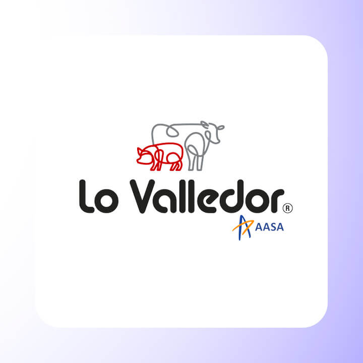 Automatización que impulsa resultados: Cómo Lo Valledor logró una atención comercial más ágil