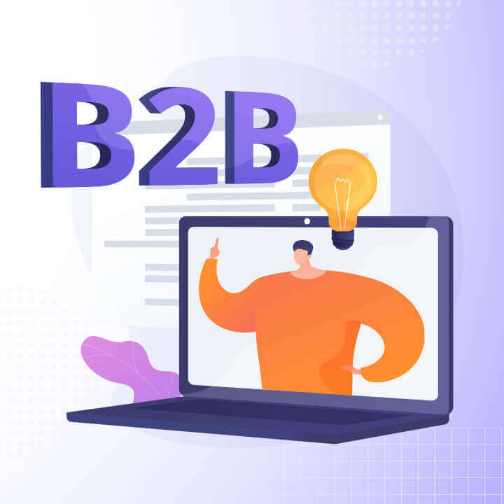 portal B2B